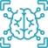neuroimaging